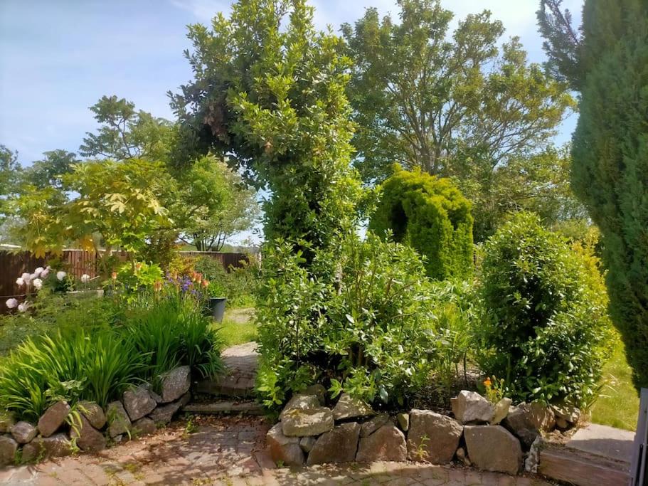 Photo of Others in Pagham