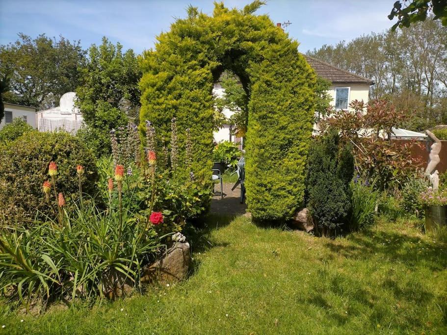 Photo of Others in Pagham