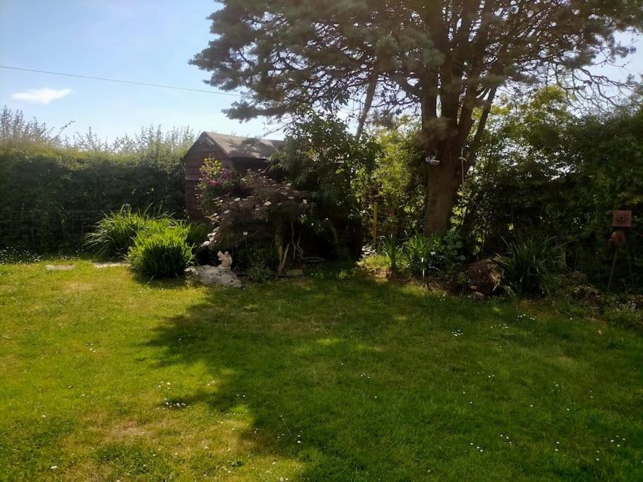 Photo of Outdoor in Pagham