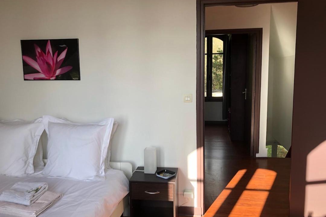 Photo of Others in Auvers-sur-Oise