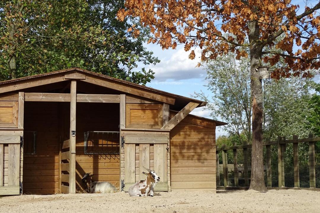 Photo of Others in Magny-le-Hongre