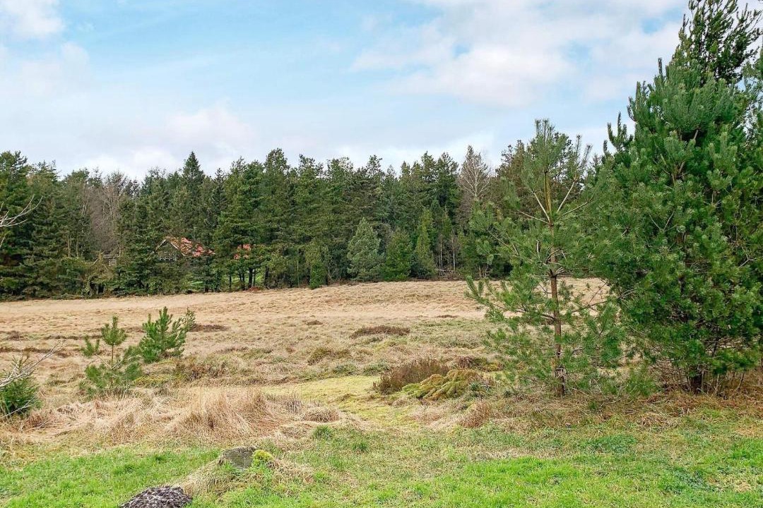 Photo of Outdoor in Bording