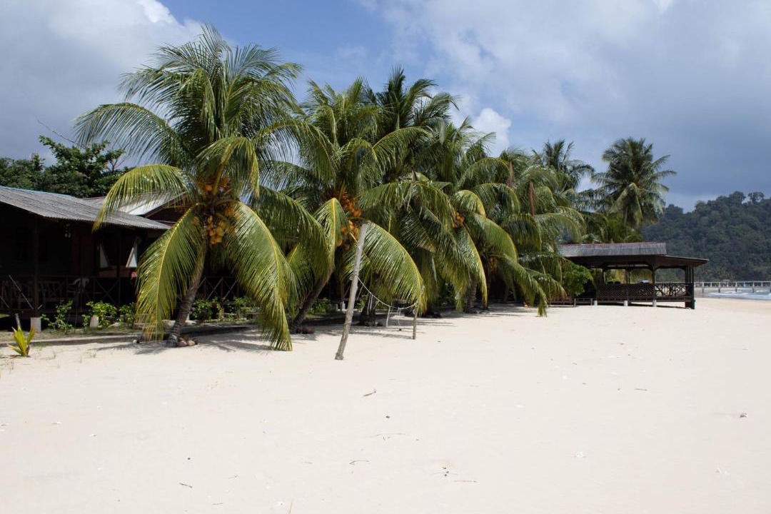 Photo of Others in Tioman Island