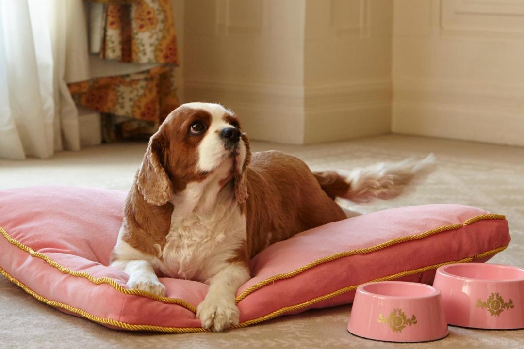 Photo of Others in Millers Point