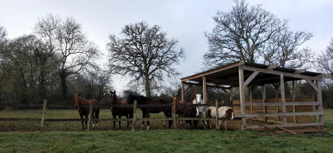 Photo of Others in Lingevres