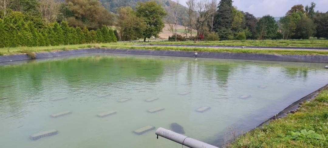 Photo of Others in Thonnance-Les-Joinville