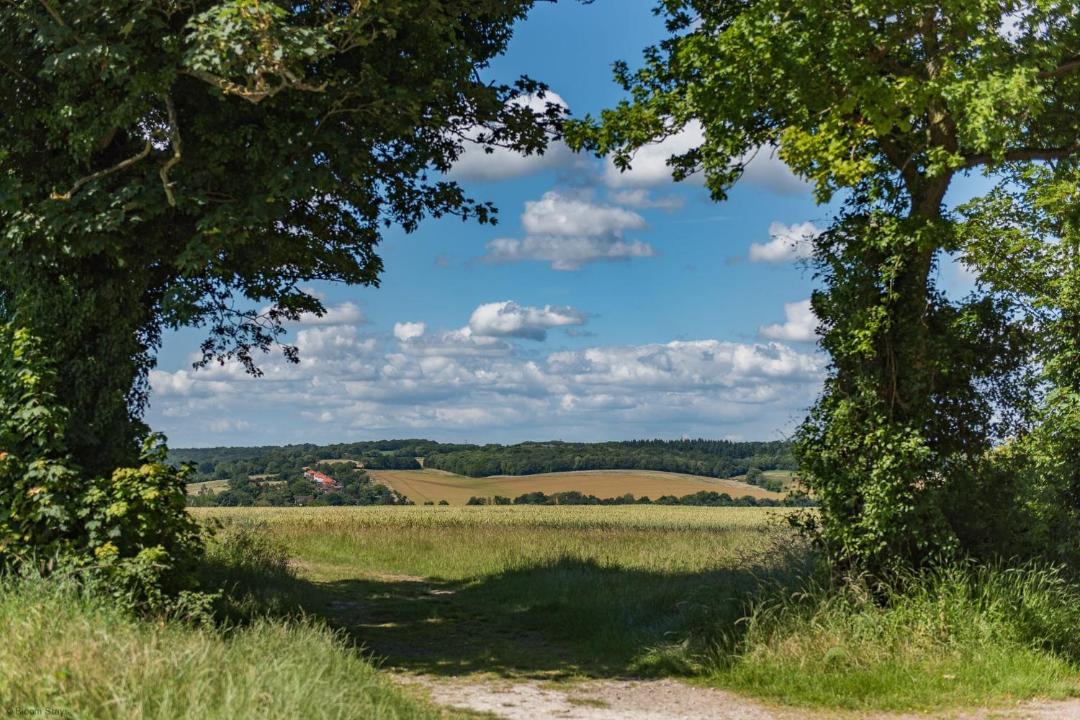 Photo of Others in Patrixbourne