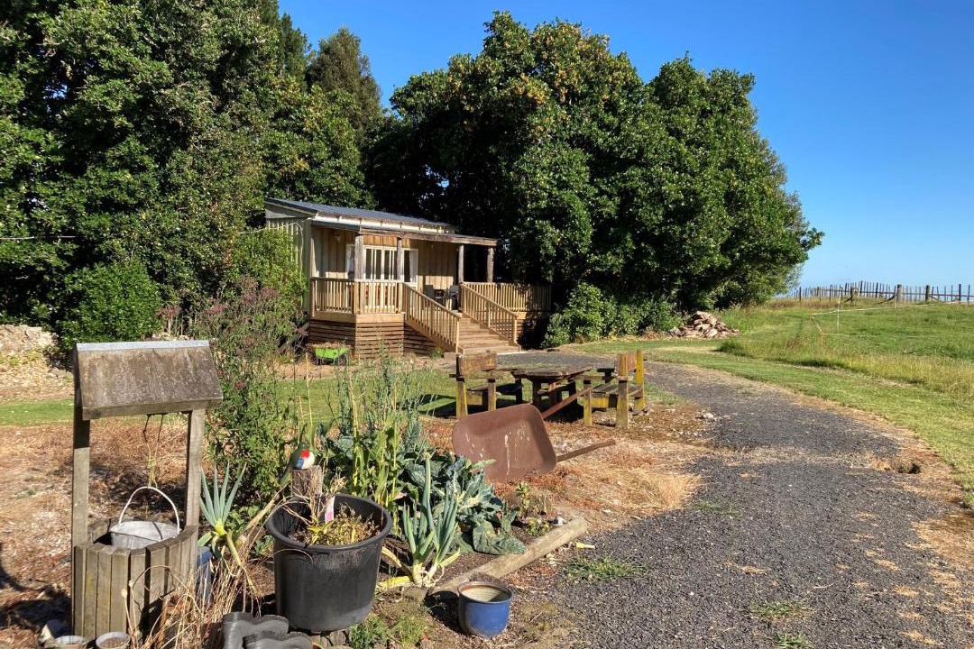 Photo of Others in Ohauiti