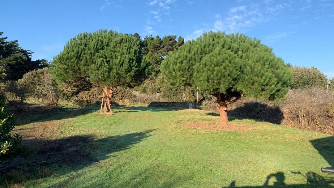 Photo of Others in Ile d'Yeu