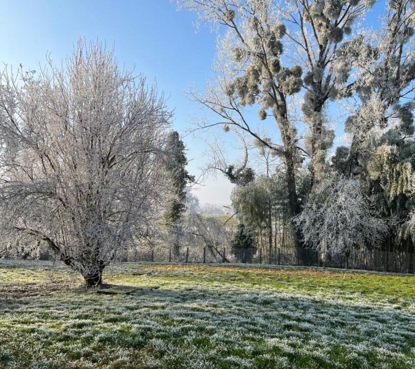 Photo of Others in Arbigny