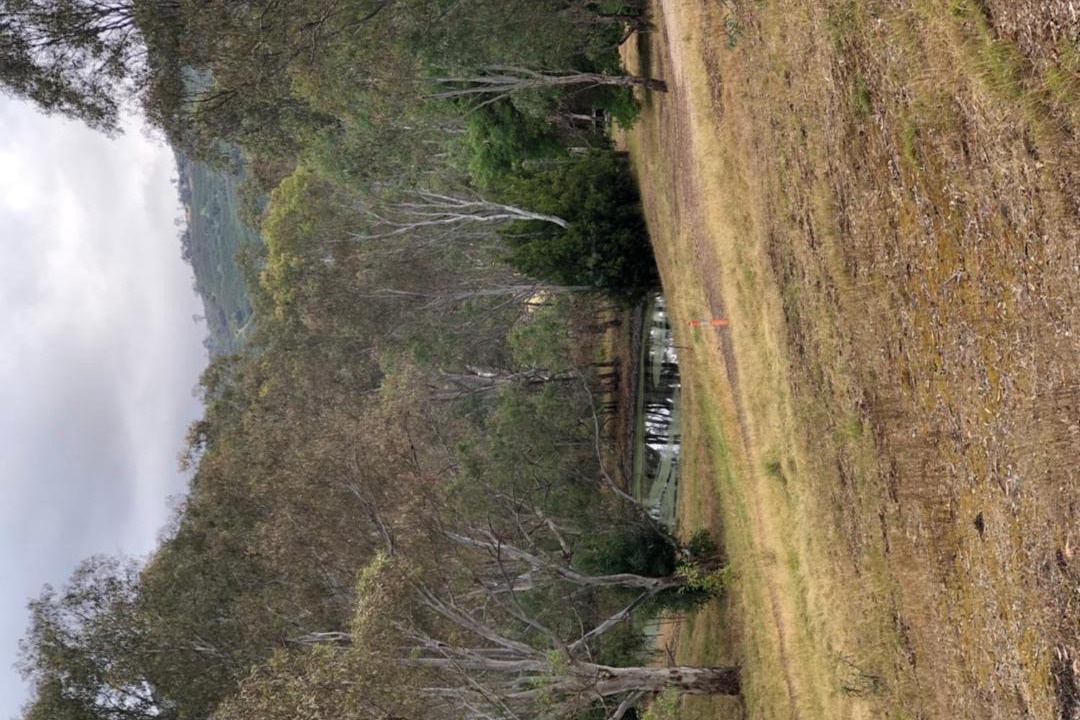 Photo of Others in Kerrisdale