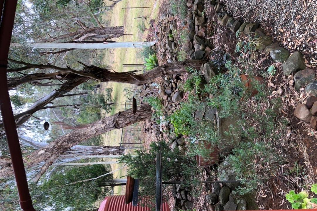 Photo of Others in Kerrisdale