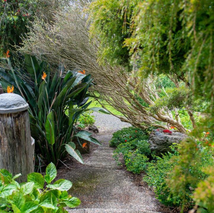 Photo of Others in Rhyll