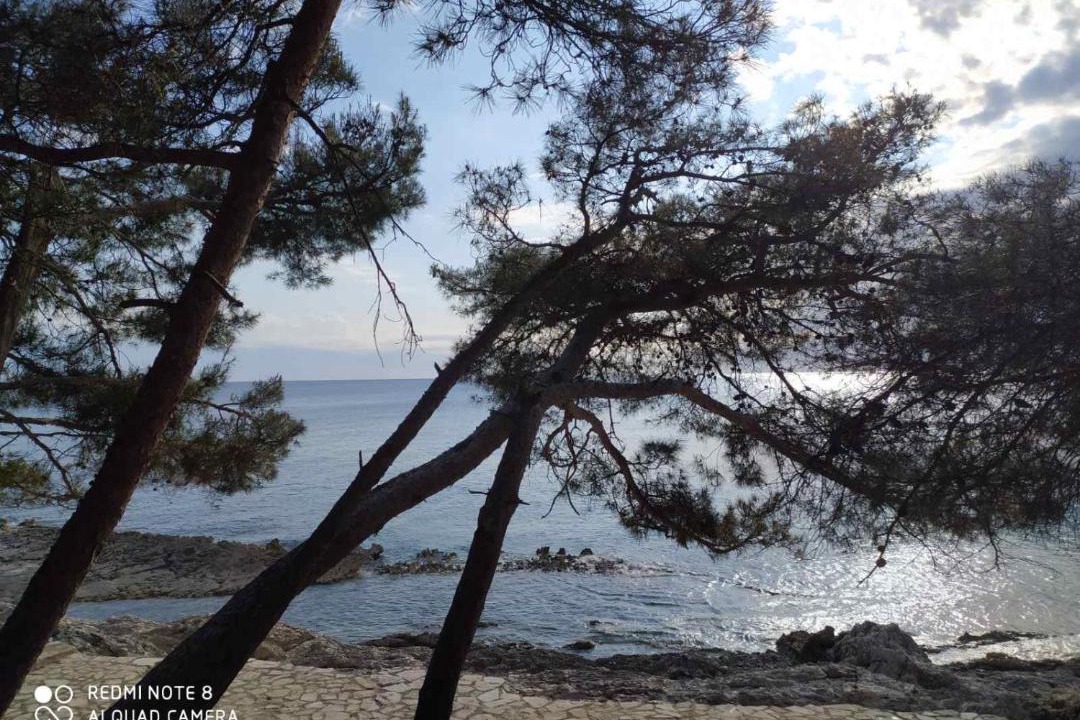 Photo of Others in Cove Murtar