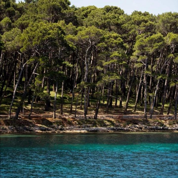 Photo of Others in Cove Murtar