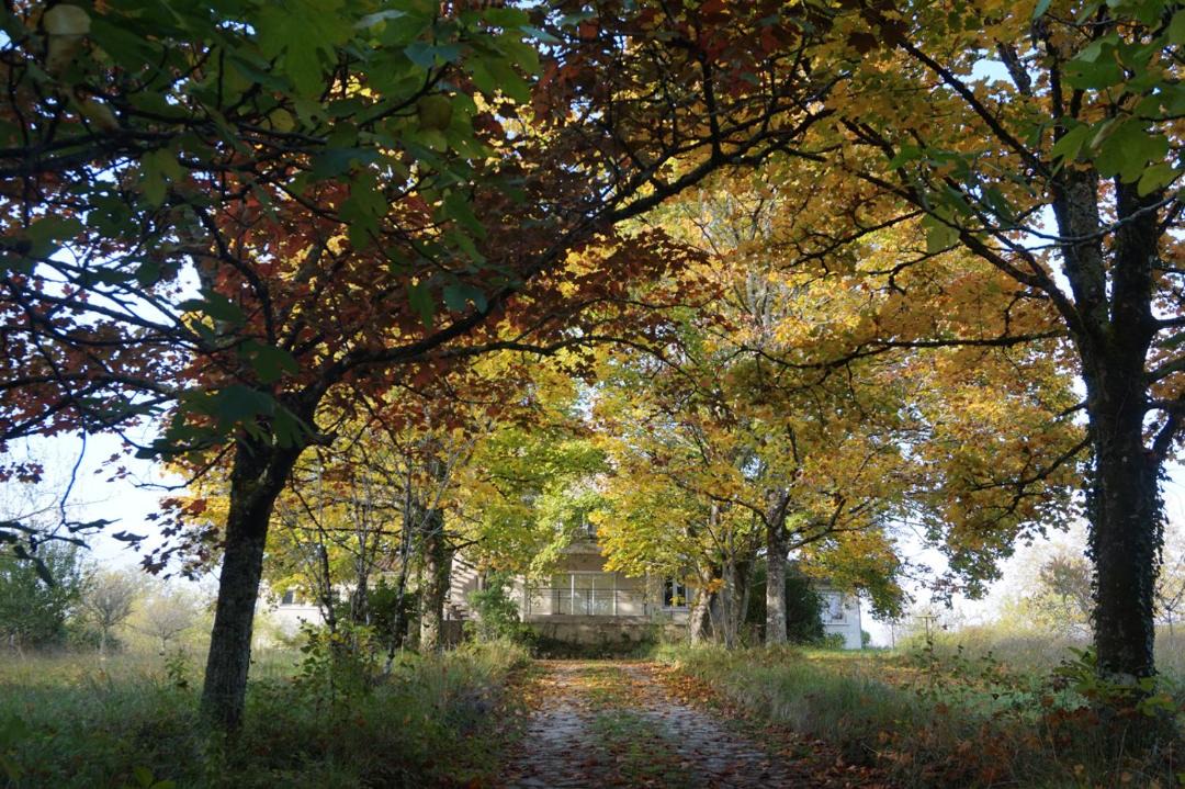 Photo of Others in Allemans