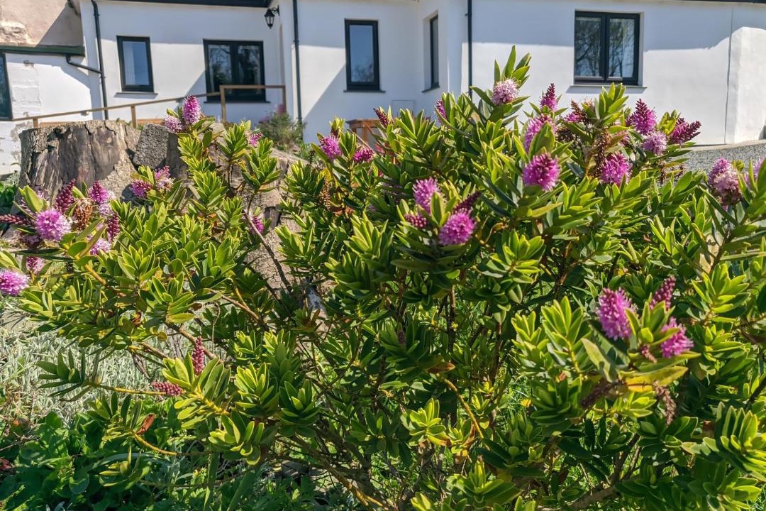 Photo of Others in Bideford