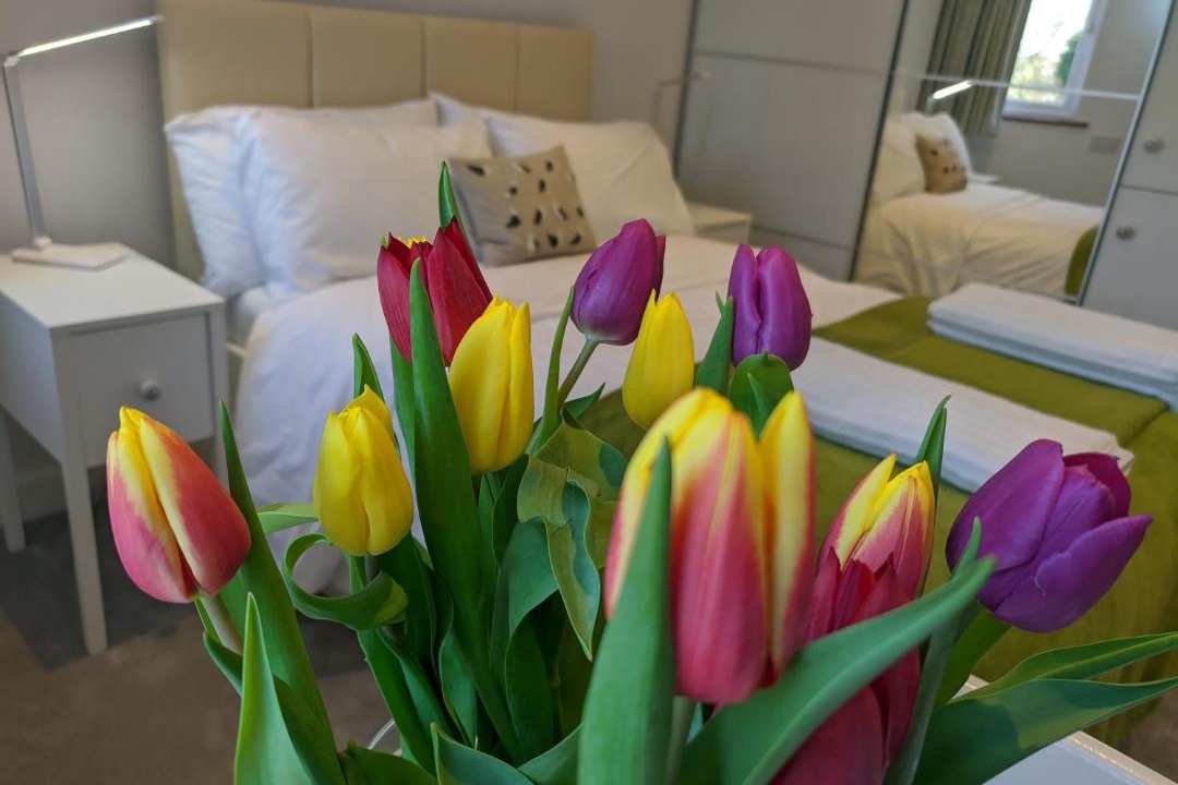 Photo of Others in Bideford