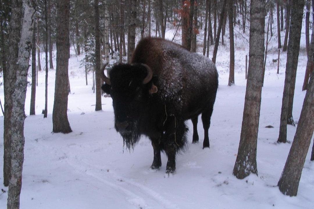 Photo of Others in Kalispell