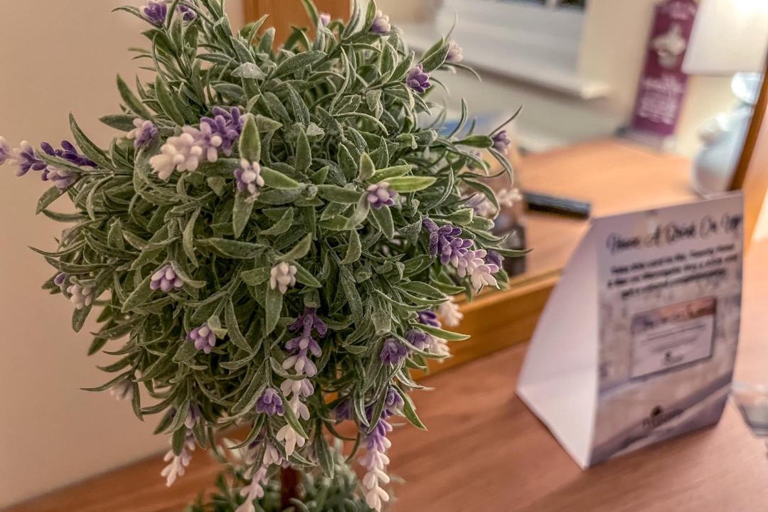 Photo of Others in Boston