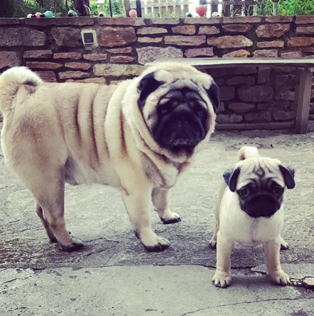 Photo of Others in La Salle