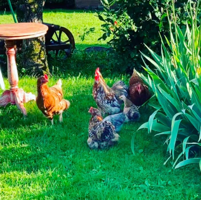 Photo of Others in La Salle