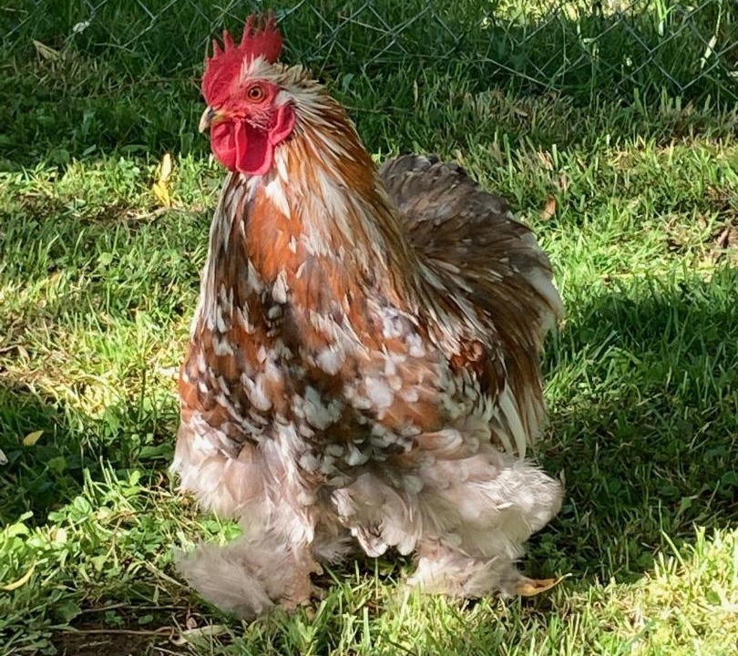 Photo of Others in La Salle