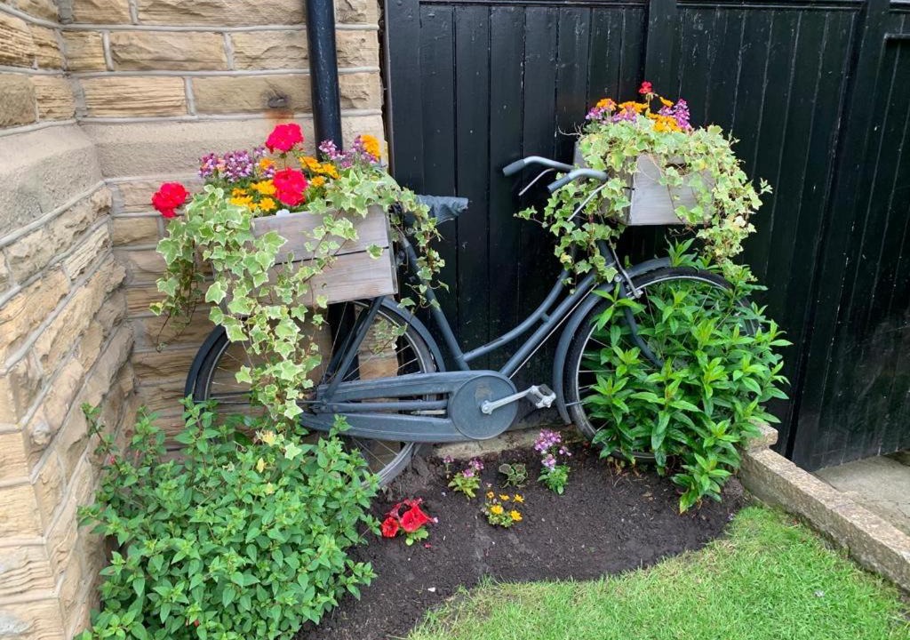 Photo of Others in Harrogate