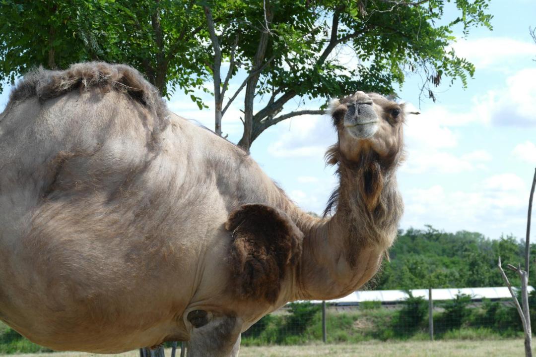 Photo of Others in Quintenas