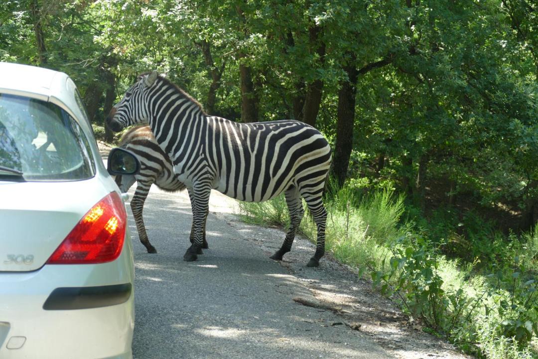 Photo of Others in Quintenas