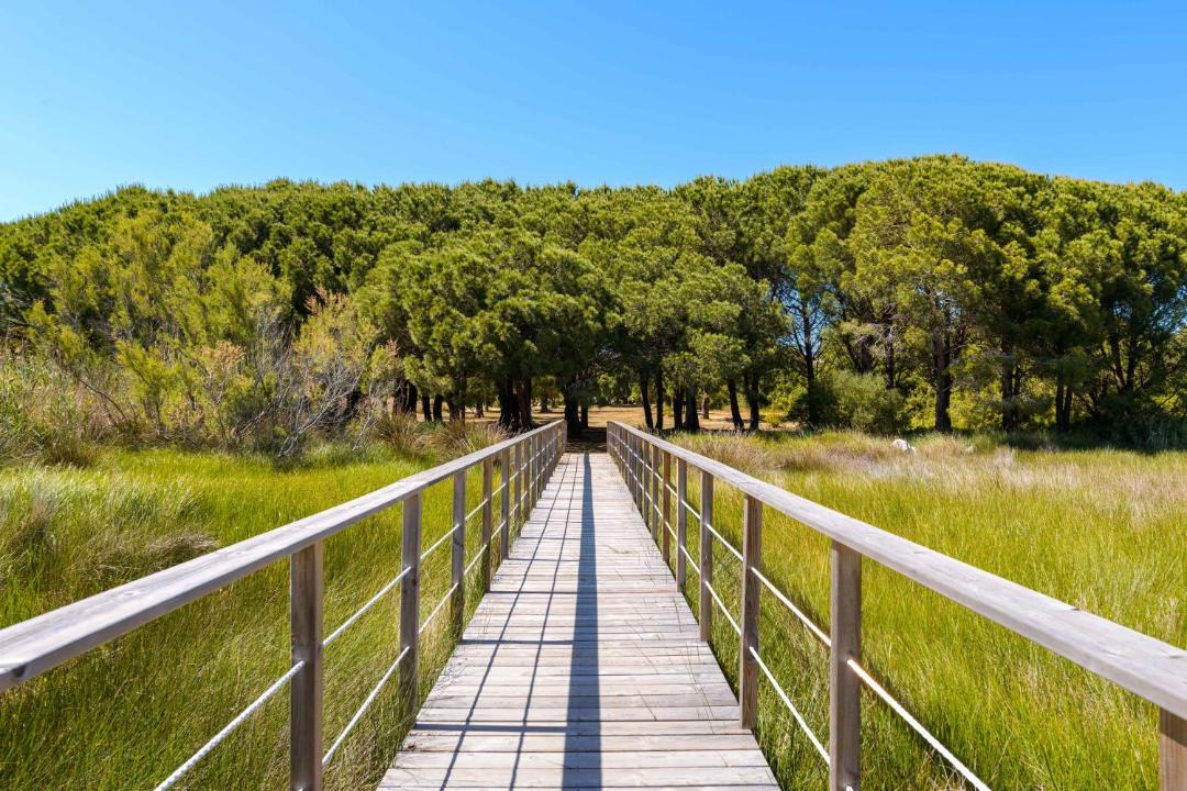 Photo of Others in Pinarellu