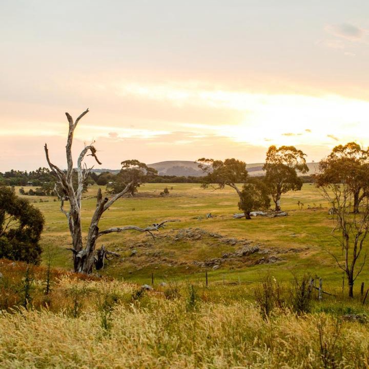 Photo of Others in Kilmore