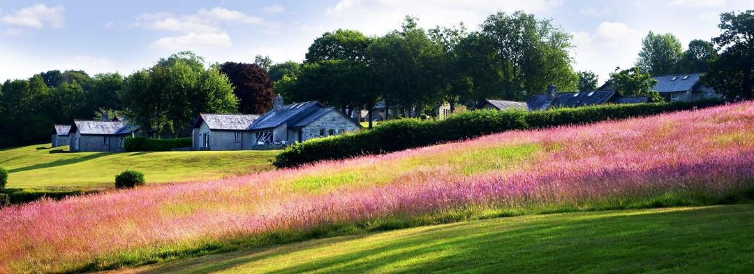 Photo of Others in St Mellion