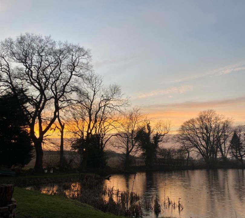 Photo of Others in Low Catton