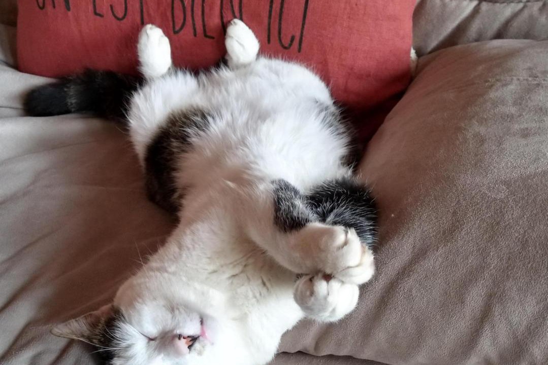 Photo of Others in Saint-Michel