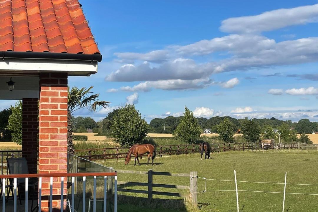 Photo of Others in Attleborough