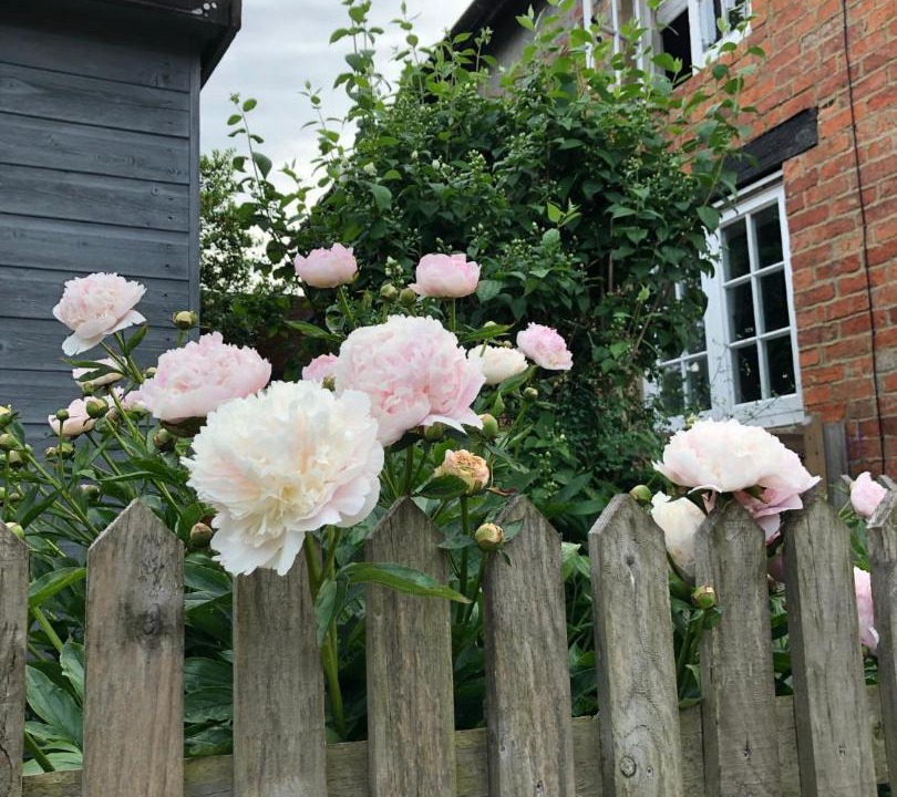 Photo of Others in Sulgrave