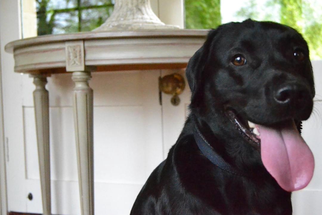 Photo of Others in Beanacre