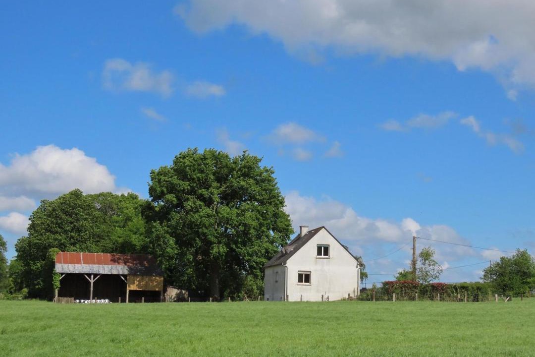 Photo of Others in La Chapelle-Saint-Aubert
