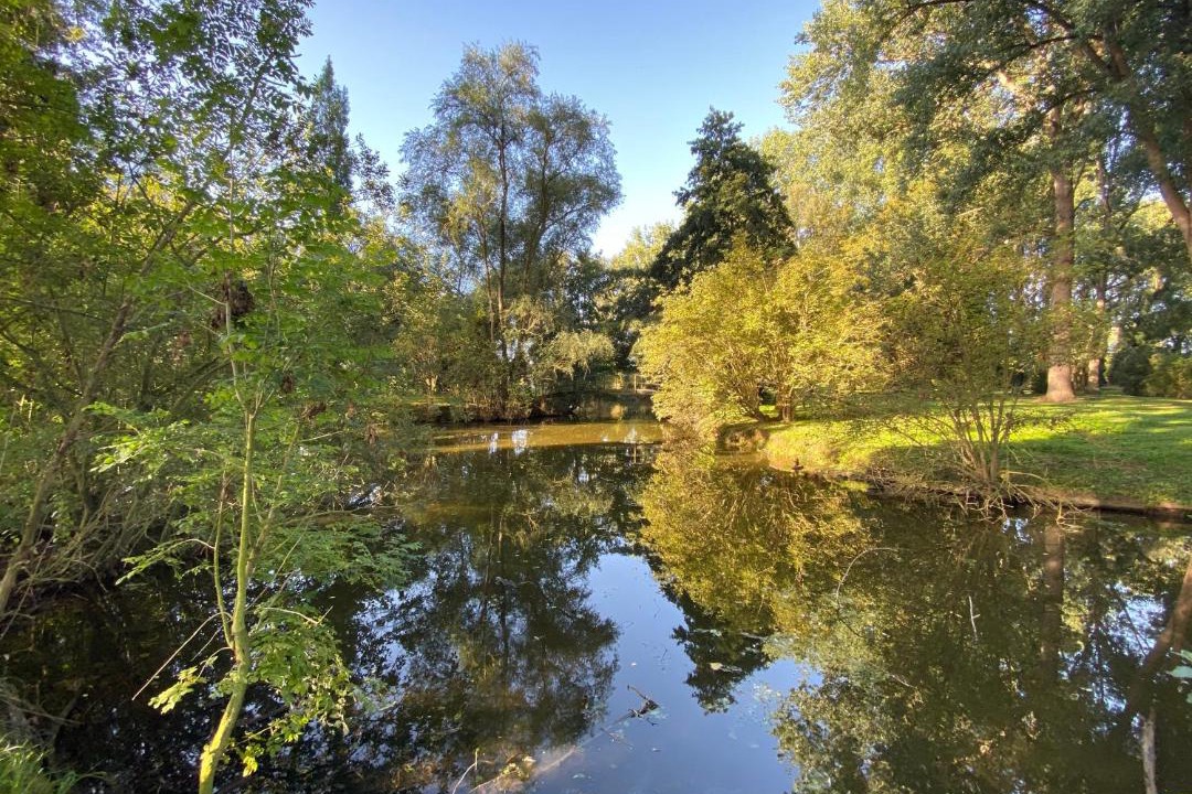 Photo of Outdoor in Rux