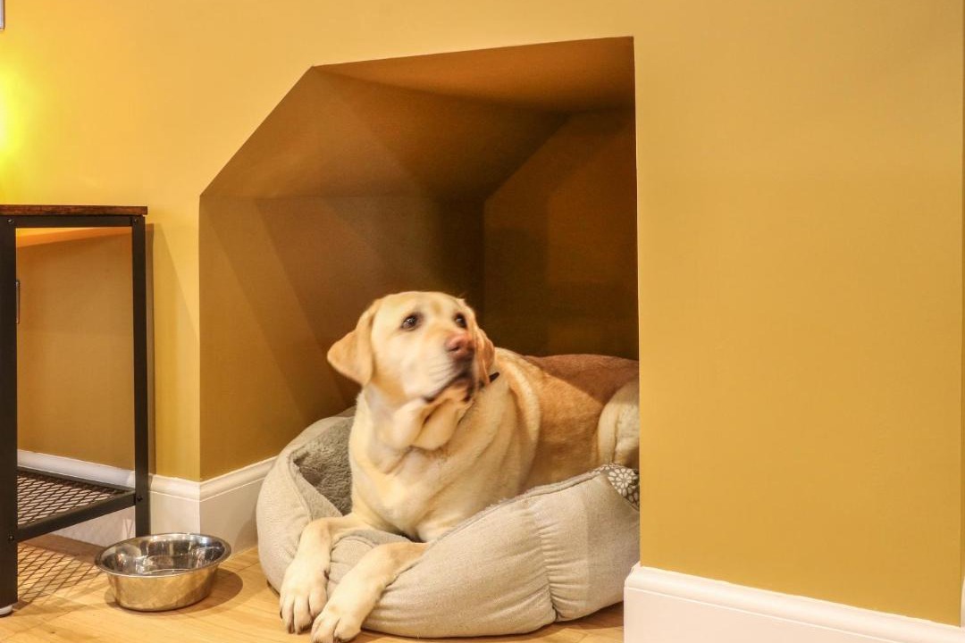 Photo of Others in Auchterarder