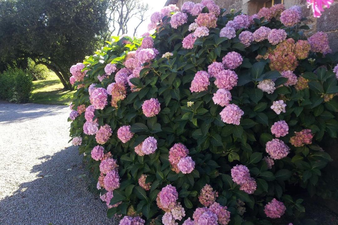 Photo of Others in Plouasne