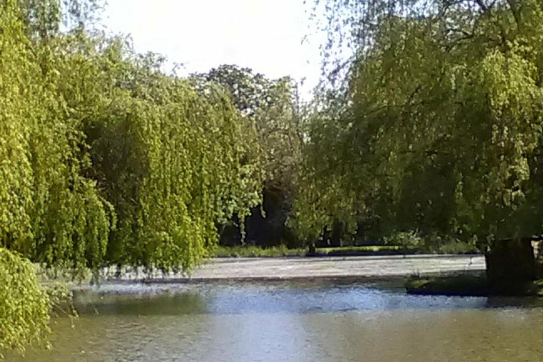 Photo of Others in Joue En Charnie