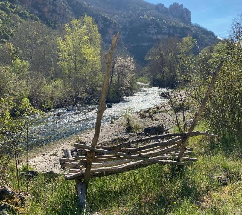 Photo of Others in Nant