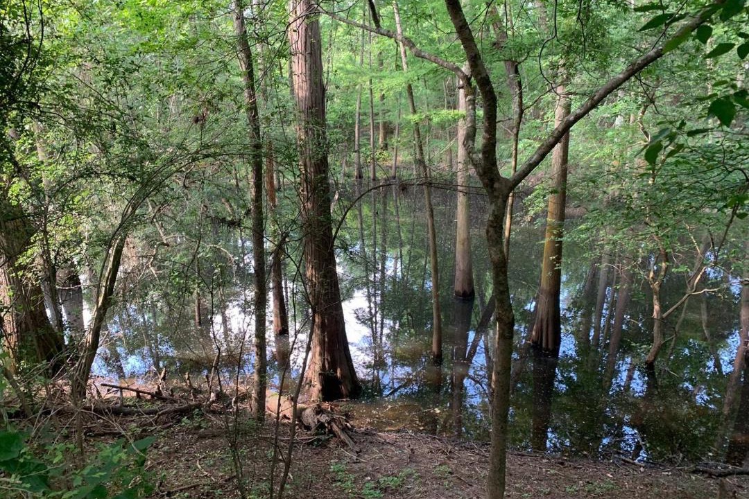 Photo of Outdoor in Humble