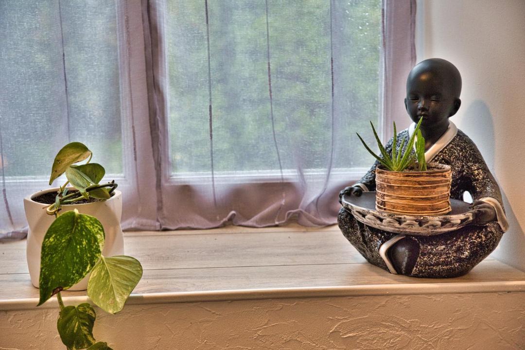 Photo of Others in Le Cambout