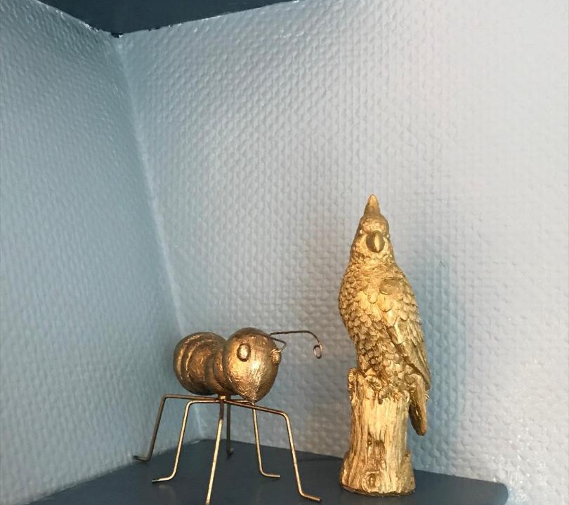 Photo of Others in Saint-Jacques - Saint-Roch