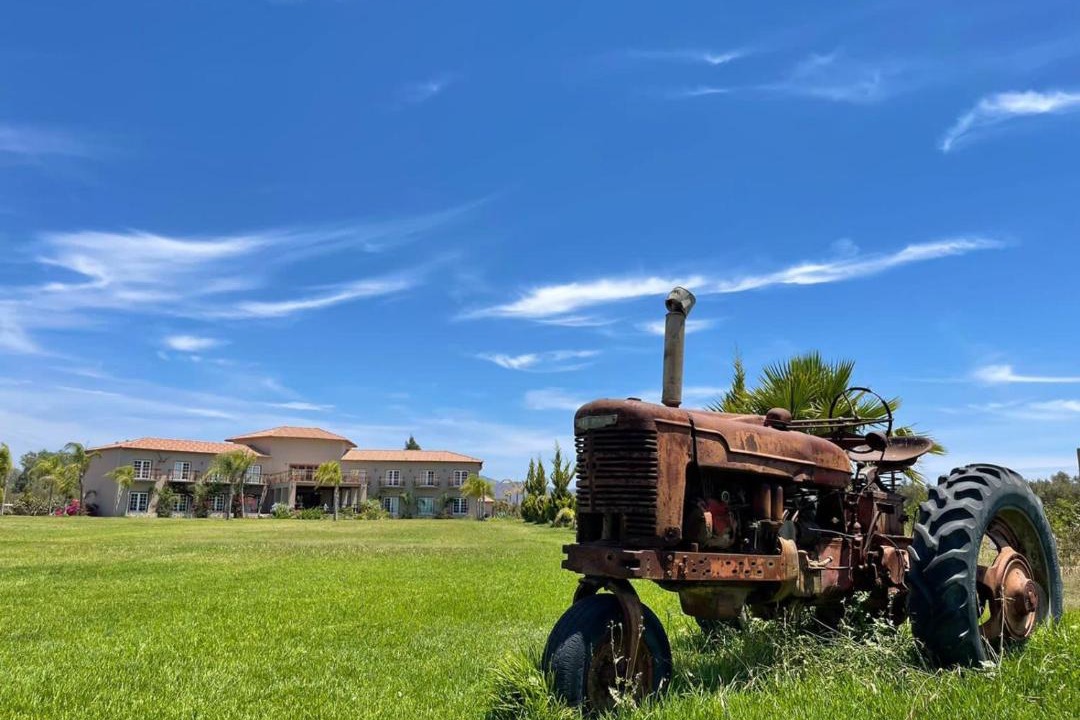 Photo of Others in Valle de Guadalupe