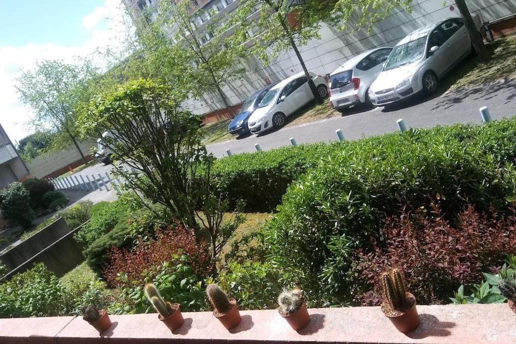 Photo of Others in Fontaine Lestang-Bagatelle-Papus-Tabar-Bordelongue