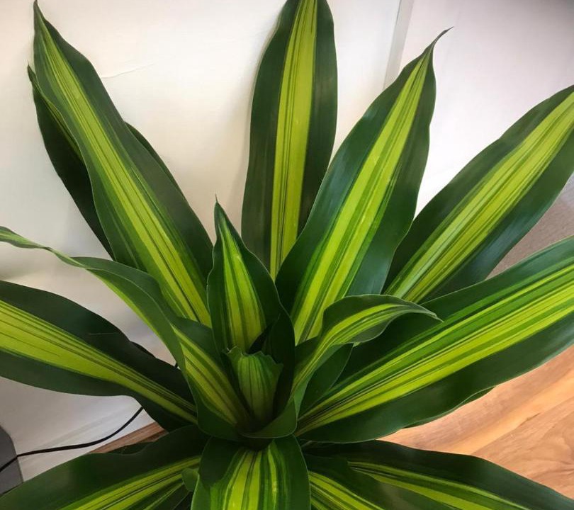 Photo of Others in Northumberland Heath